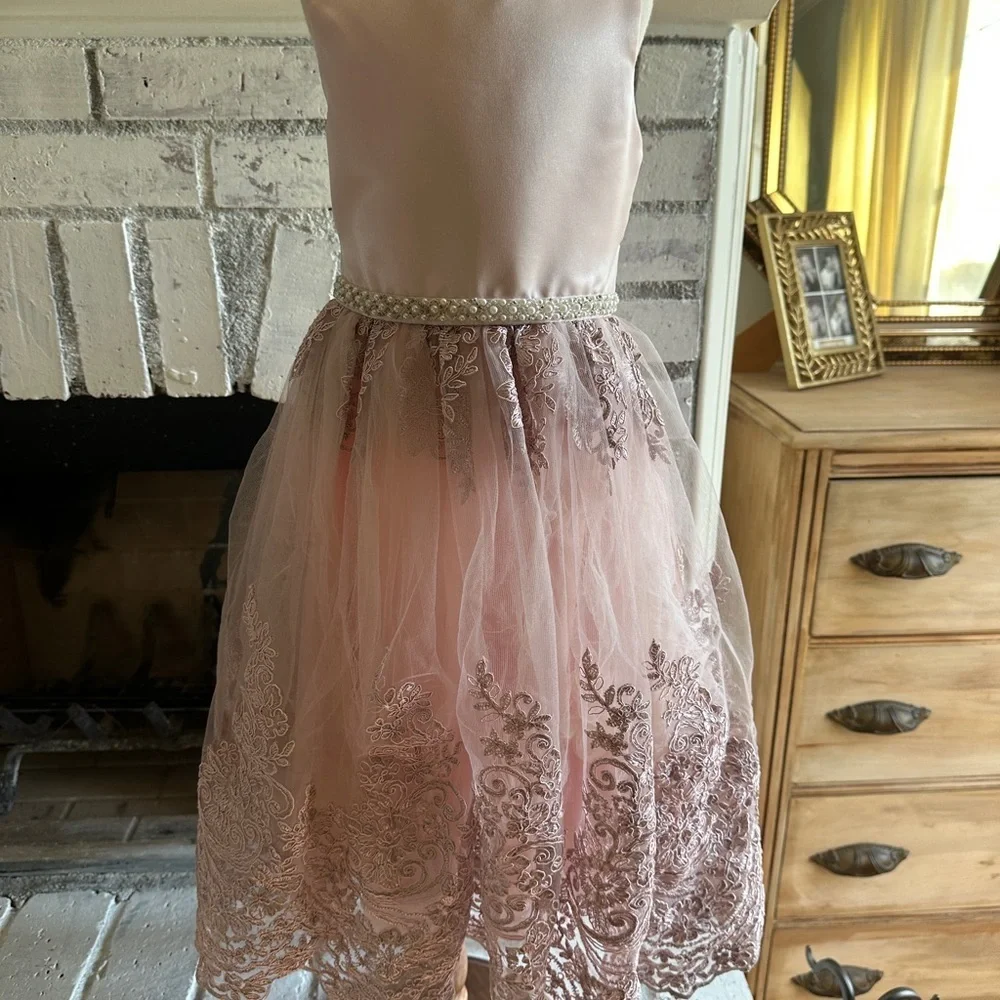 Elegant Pink Lace Kids Dress 3T